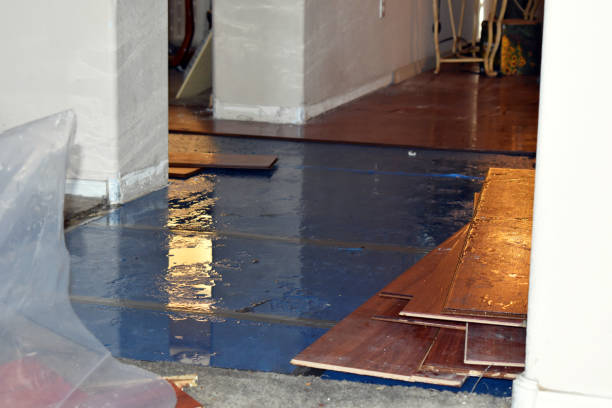 Professional Burst Pipe Cleanup technician working in Kingston, WA